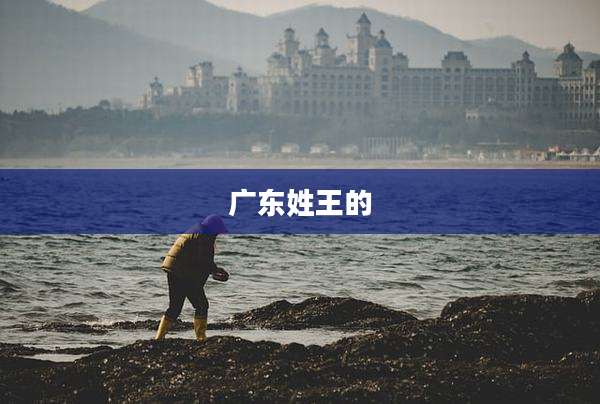 广东姓王的