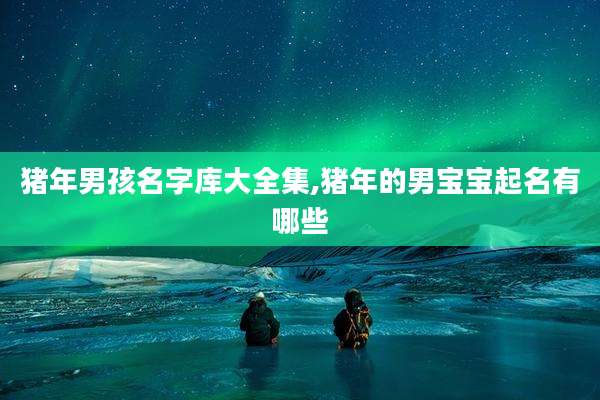 猪年男孩名字库大全集,猪年的男宝宝起名有哪些