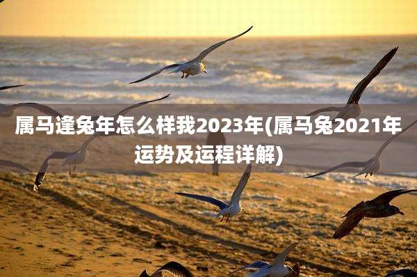 属马逢兔年怎么样我2023年(属马兔2021年运势及运程详解)
