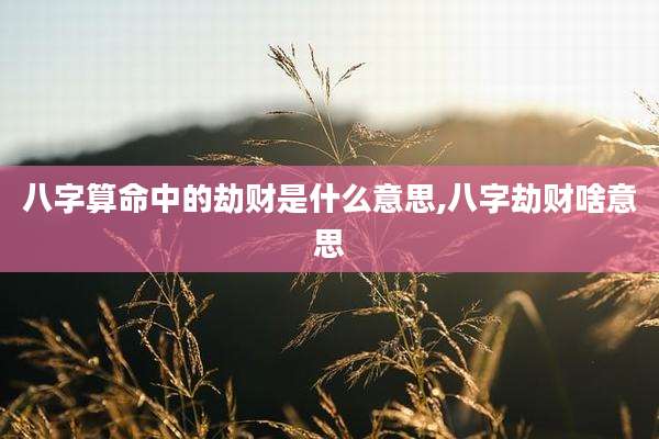 八字算命中的劫财是什么意思,八字劫财啥意思