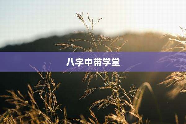 八字中带学堂