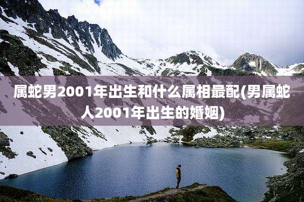 属蛇男2001年出生和什么属相最配(男属蛇人2001年出生的婚姻)
