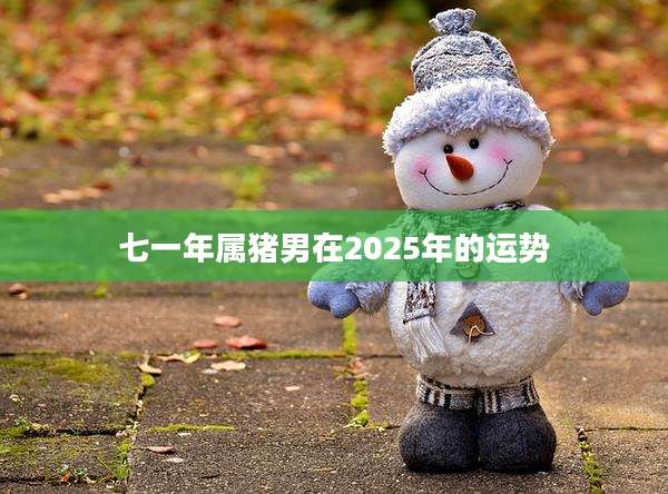 七一年属猪男在2025年的运势