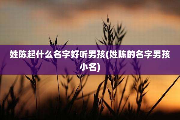 姓陈起什么名字好听男孩(姓陈的名字男孩小名)