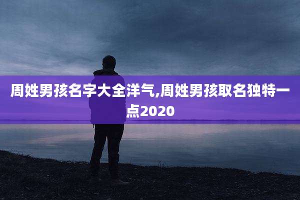 周姓男孩名字大全洋气,周姓男孩取名独特一点2020