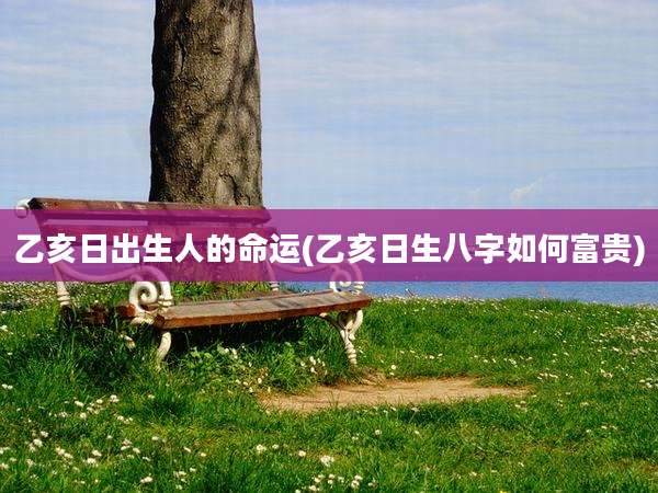 乙亥日出生人的命运(乙亥日生八字如何富贵)