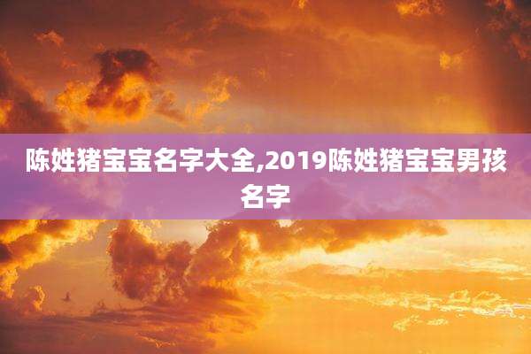 陈姓猪宝宝名字大全,2019陈姓猪宝宝男孩名字
