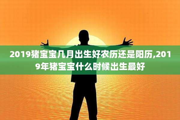 2019猪宝宝几月出生好农历还是阳历,2019年猪宝宝什么时候出生最好