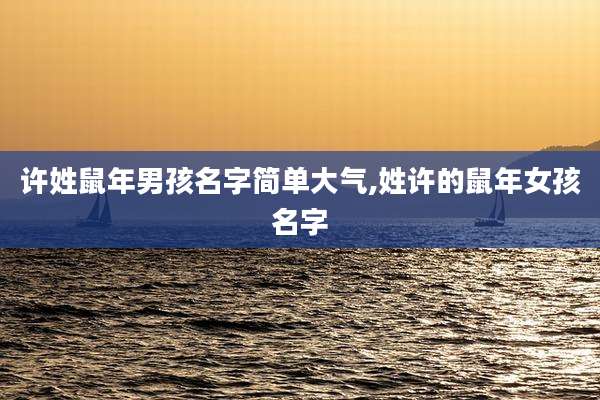 许姓鼠年男孩名字简单大气,姓许的鼠年女孩名字