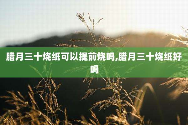 腊月三十烧纸可以提前烧吗,腊月三十烧纸好吗