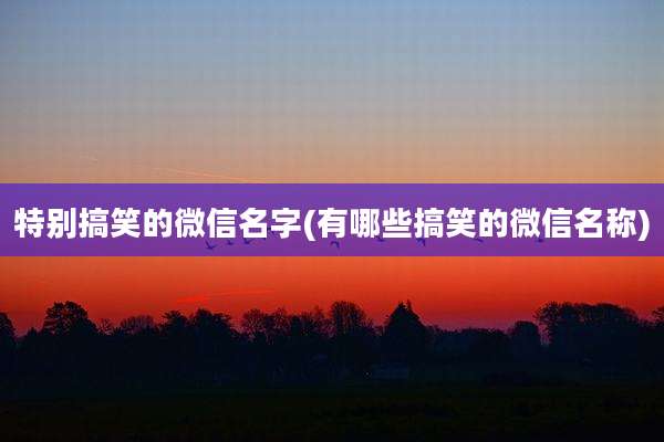 特别搞笑的微信名字(有哪些搞笑的微信名称)