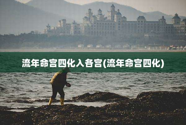 流年命宫四化入各宫(流年命宫四化)