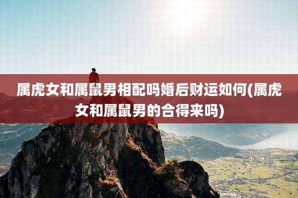 属虎女和属鼠男相配吗婚后财运如何(属虎女和属鼠男的合得来吗)
