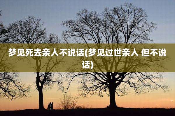 梦见死去亲人不说话(梦见过世亲人 但不说话)