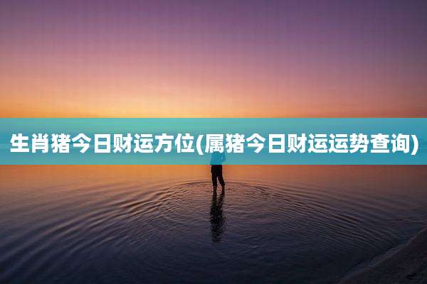 生肖猪今日财运方位(属猪今日财运运势查询)