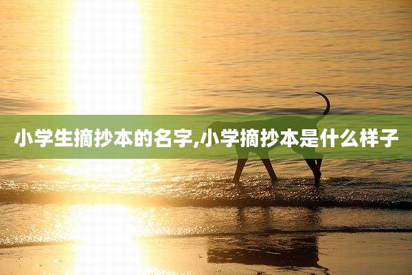 小学生摘抄本的名字,小学摘抄本是什么样子