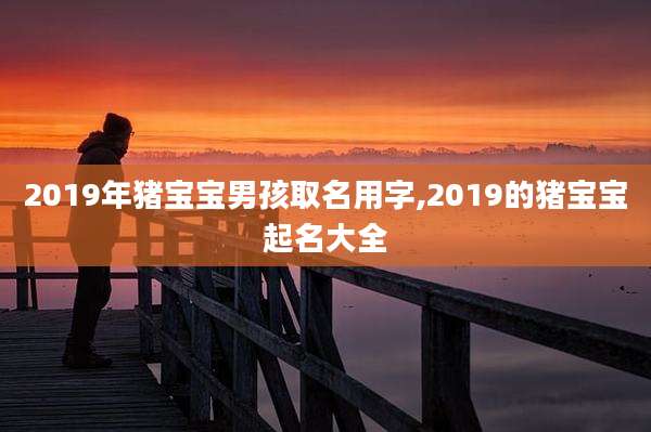 2019年猪宝宝男孩取名用字,2019的猪宝宝起名大全