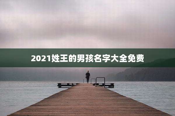 2021姓王的男孩名字大全免费