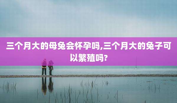 三个月大的母兔会怀孕吗,三个月大的兔子可以繁殖吗?