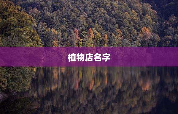 植物店名字