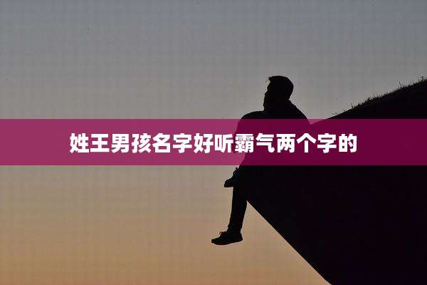 姓王男孩名字好听霸气两个字的