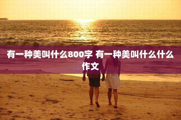 有一种美叫什么800字 有一种美叫什么什么作文