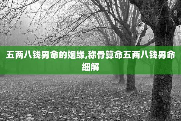 五两八钱男命的姻缘,称骨算命五两八钱男命细解