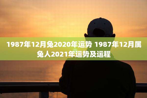 1987年12月兔2020年运势 1987年12月属兔人2021年运势及运程