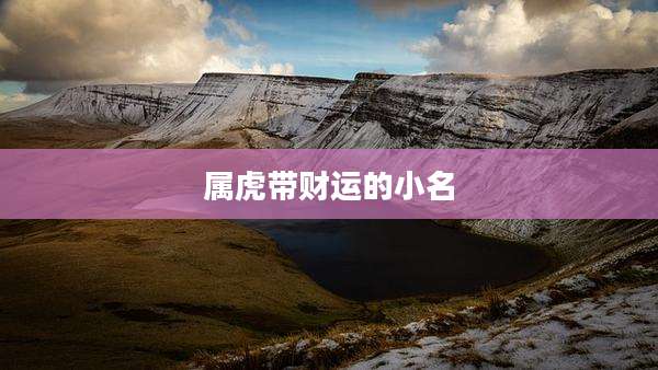 属虎带财运的小名