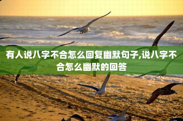 有人说八字不合怎么回复幽默句子,说八字不合怎么幽默的回答