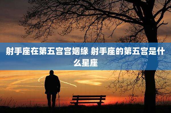 射手座在第五宫宫姻缘 射手座的第五宫是什么星座