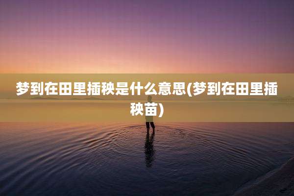 梦到在田里插秧是什么意思(梦到在田里插秧苗)