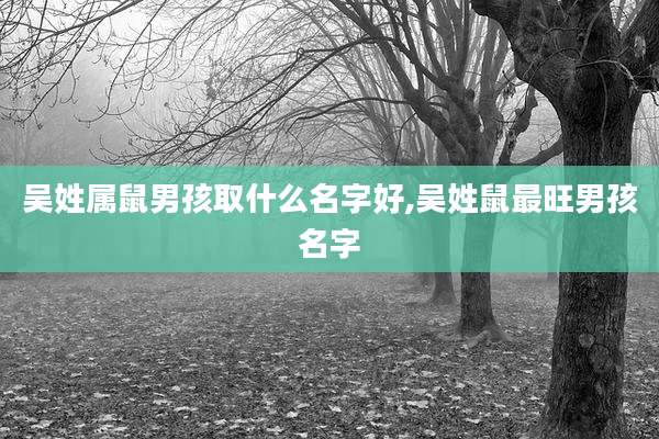 吴姓属鼠男孩取什么名字好,吴姓鼠最旺男孩名字