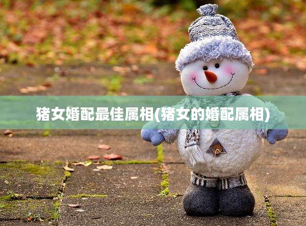 猪女婚配最佳属相(猪女的婚配属相)