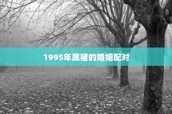 1995年属猪的婚姻配对
