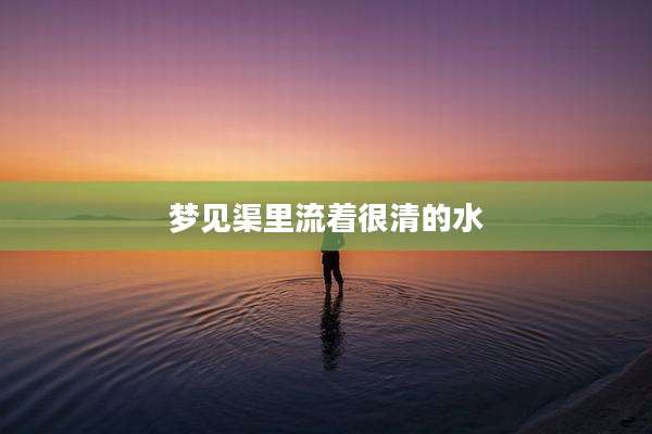 梦见渠里流着很清的水