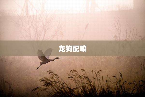 龙狗配嘛