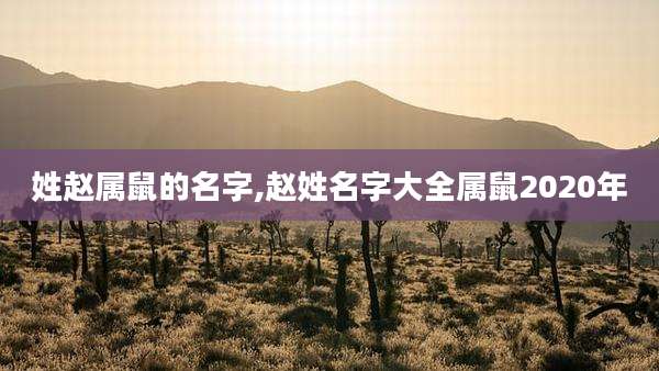 姓赵属鼠的名字,赵姓名字大全属鼠2020年