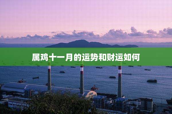 属鸡十一月的运势和财运如何