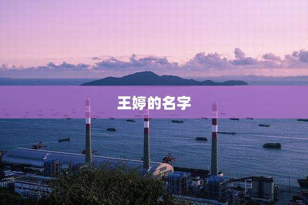 王婷的名字