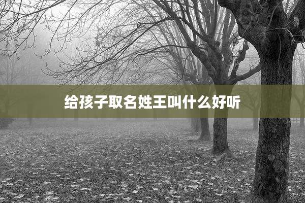 给孩子取名姓王叫什么好听