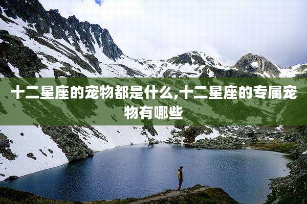 十二星座的宠物都是什么,十二星座的专属宠物有哪些
