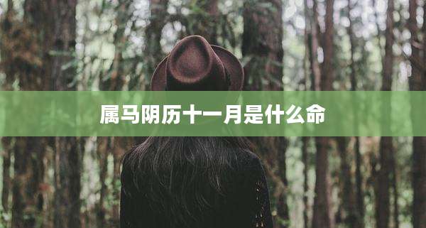 属马阴历十一月是什么命