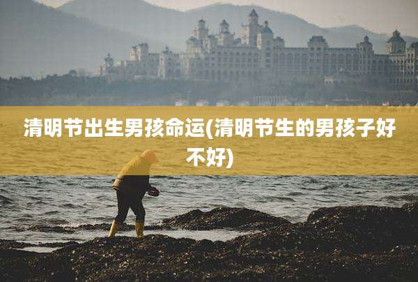 清明节出生男孩命运(清明节生的男孩子好不好)