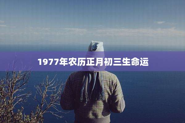 1977年农历正月初三生命运
