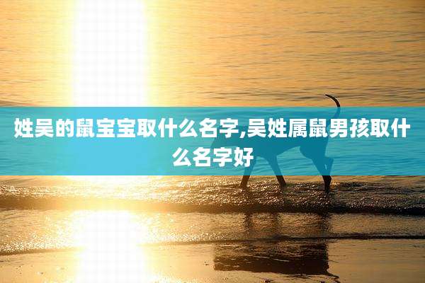 姓吴的鼠宝宝取什么名字,吴姓属鼠男孩取什么名字好