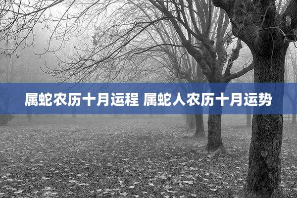属蛇农历十月运程 属蛇人农历十月运势