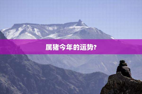 属猪今年的运势?