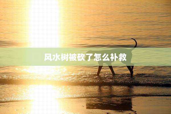 风水树被砍了怎么补救