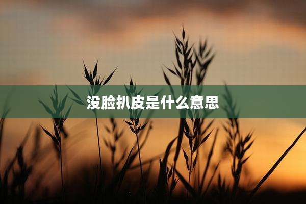没脸扒皮是什么意思